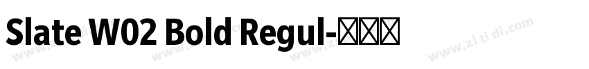 Slate W02 Bold Regul字体转换